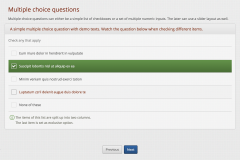 limesurvey_template_tfr_05