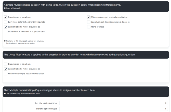 LimeSurvey Template Proggy Multi Choice Questions